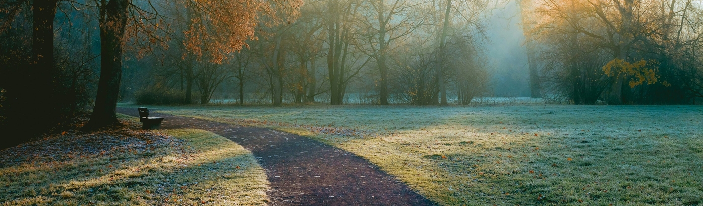 walkway